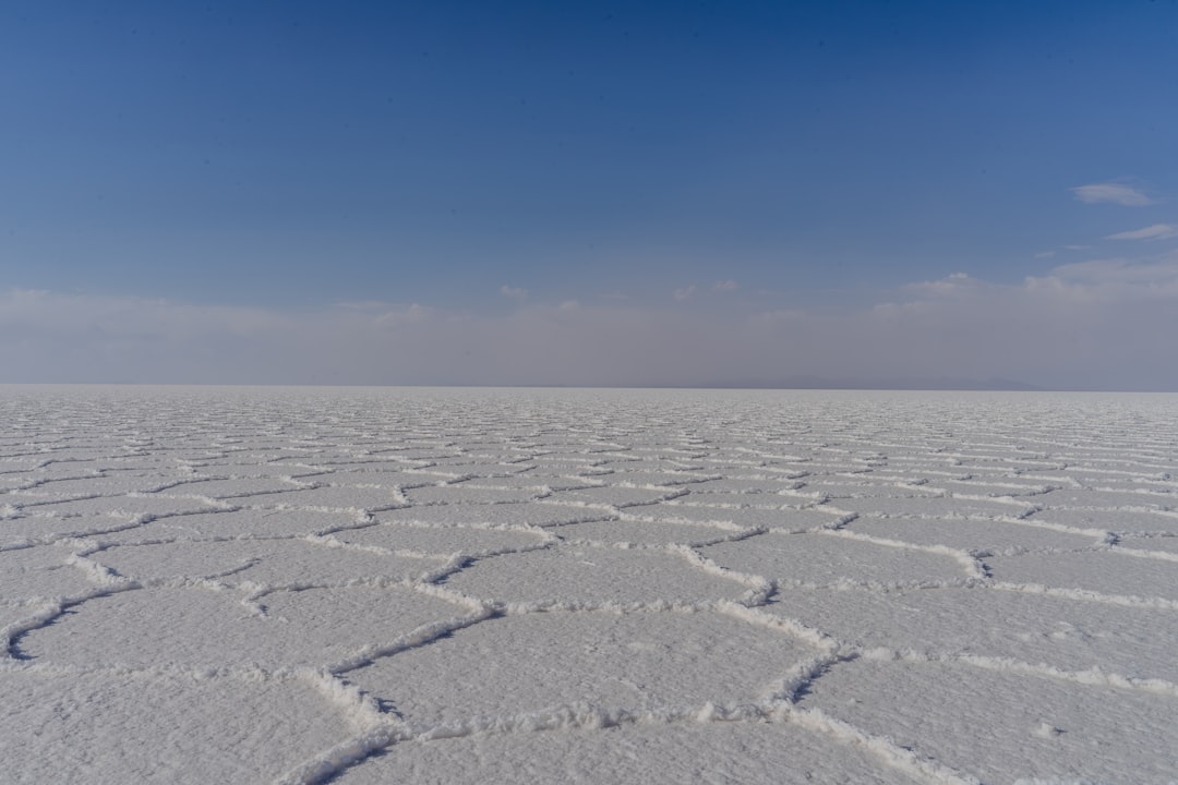 Rann of Kutch: il deserto bianco del Gujarat - Dhordo | Secret World Trip Planner