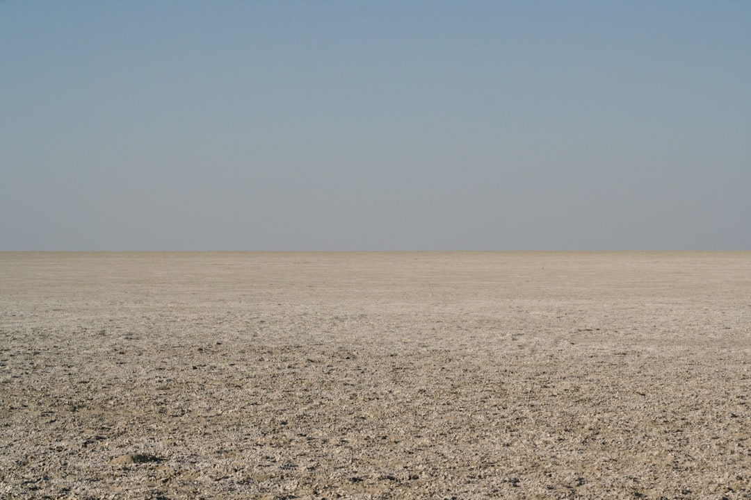 Rann of Kutch: il deserto bianco del Gujarat - Dhordo | Secret World Trip Planner
