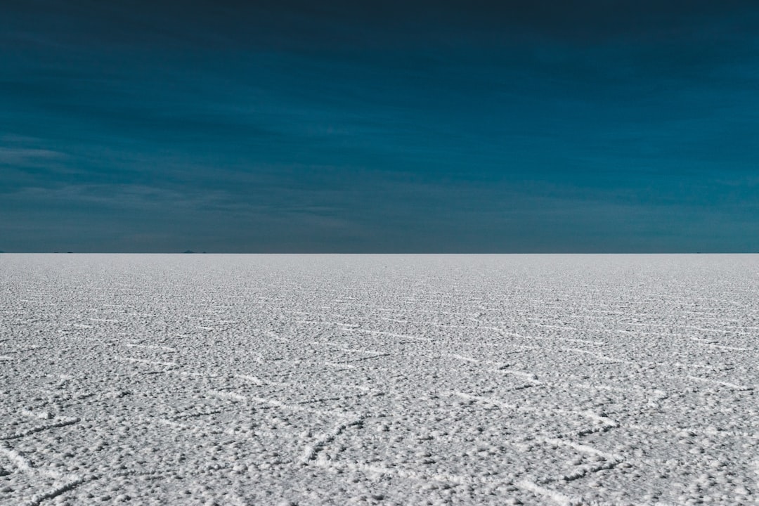 Rann de Kutch: el desierto blanco de Gujarat - Dhordo | Secret World Trip Planner