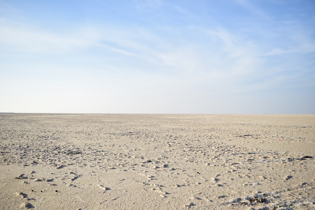 Rann de Kutch: el desierto blanco de Gujarat - Dhordo | Secret World Trip Planner