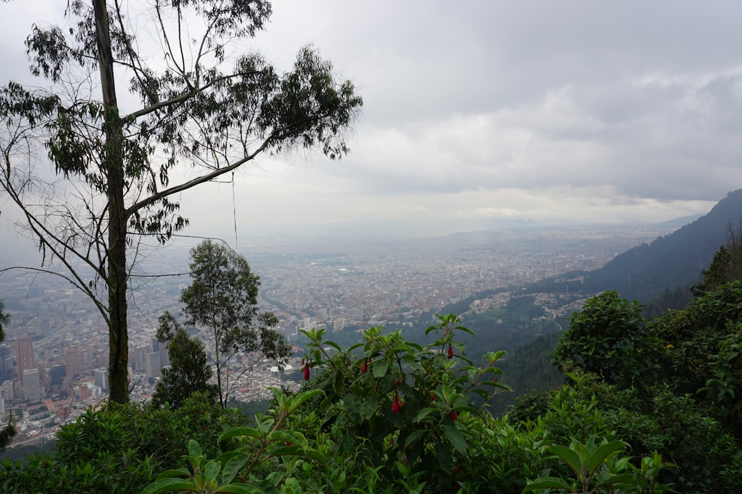Botanischer Garten Bogotá: Eine grüne Lunge der Anden - Ac 63 #68-95 | Secret World Trip Planner