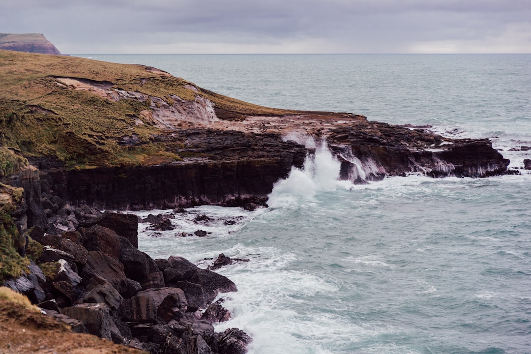Scopri Slope Point: il punto più a sud della Nuova Zelanda - Slope Point | Secret World Trip Planner