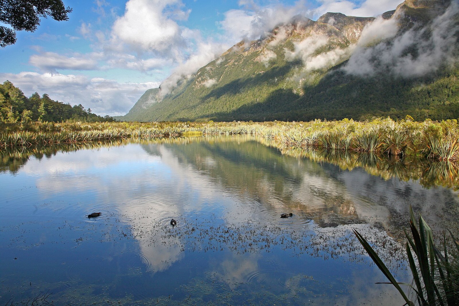 Mirror Lakes: La Magia dei Laghi Riflessi della Nuova Zelanda - Mavora | Secret World Trip Planner