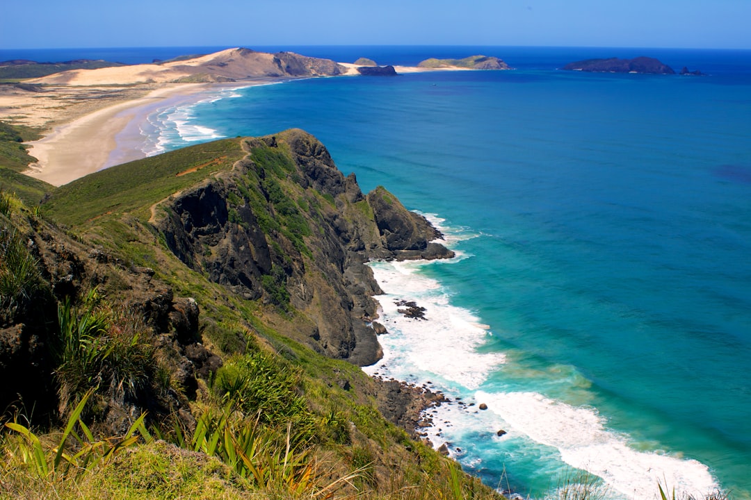 Cape Farewell: Maravillas de Nueva Zelanda — Pūponga
