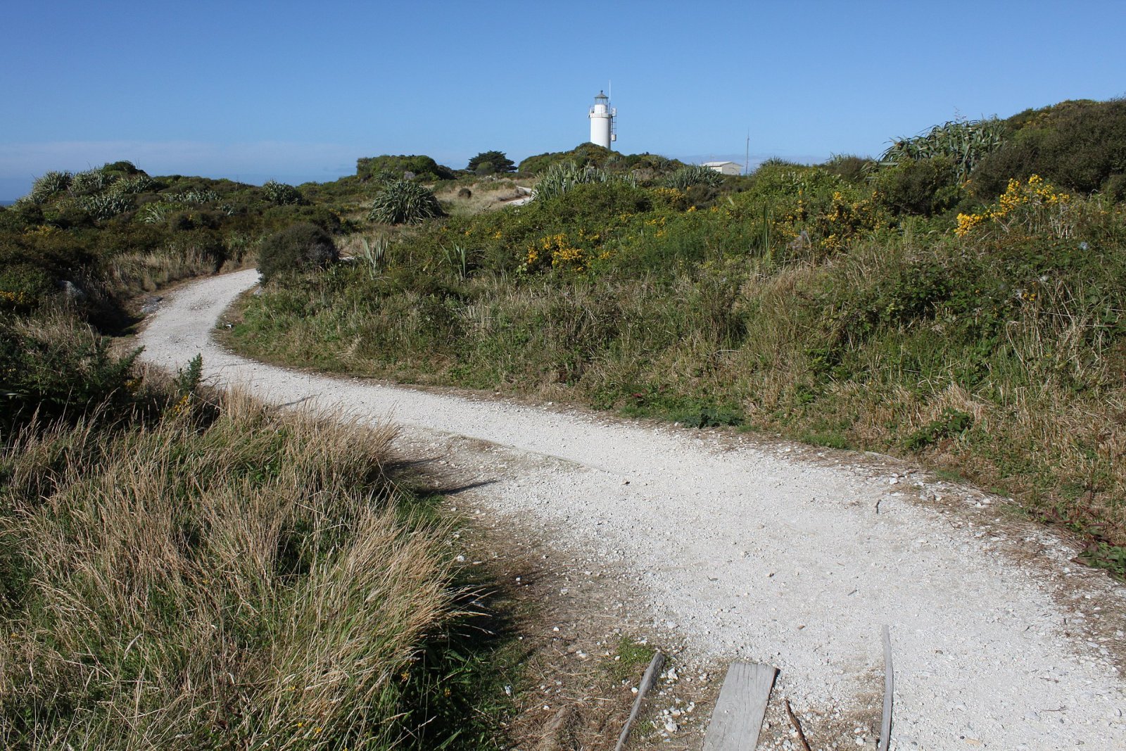Cape Foulwind: Un gioiello della costa ovest della Nuova Zelanda - Cape Foulwind | Secret World Trip Planner