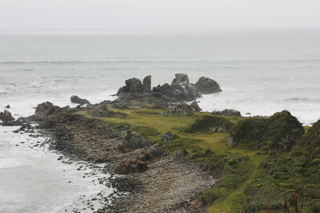 Cape Foulwind: Un gioiello della costa ovest della Nuova Zelanda - Cape Foulwind | Secret World Trip Planner