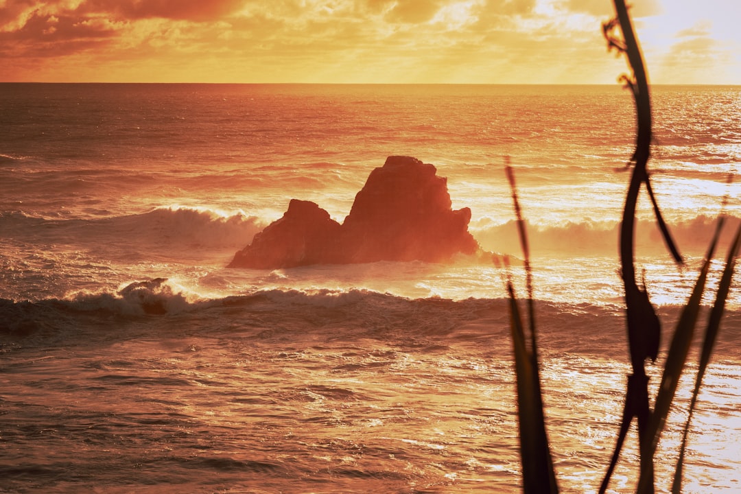 Cape Foulwind: Un gioiello della costa ovest della Nuova Zelanda - Cape Foulwind | Secret World Trip Planner