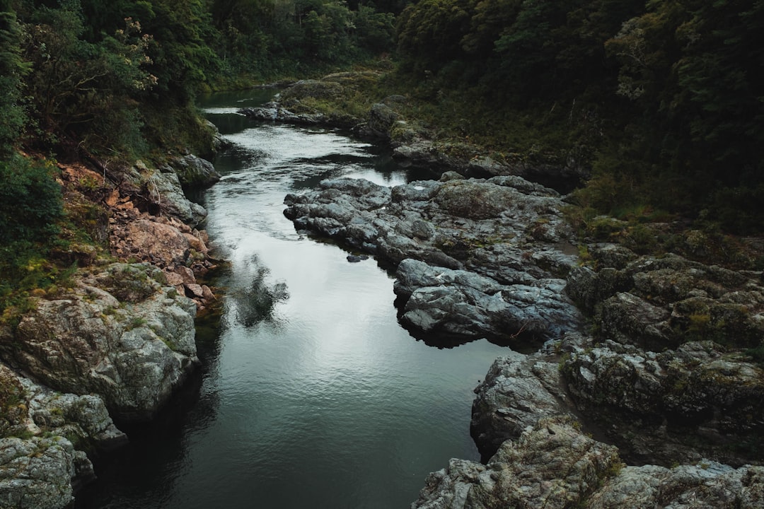 Discover the Silica Rapids: a Gem of New Zealand - Waimarino | Secret World Trip Planner