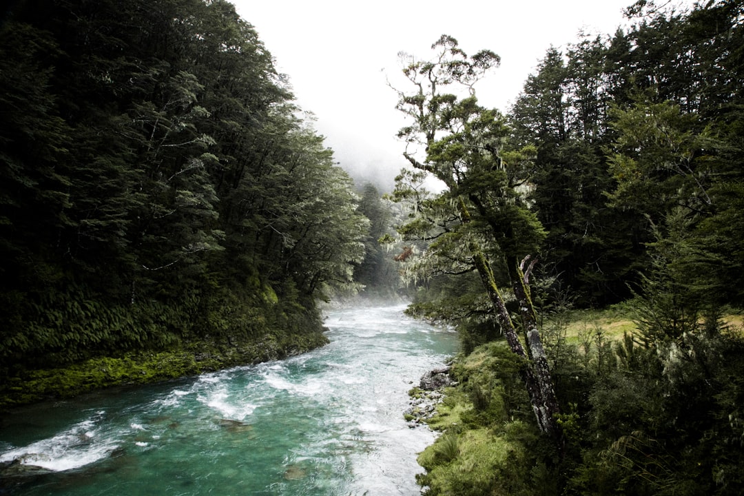Discover the Silica Rapids: a Gem of New Zealand - Waimarino | Secret World Trip Planner