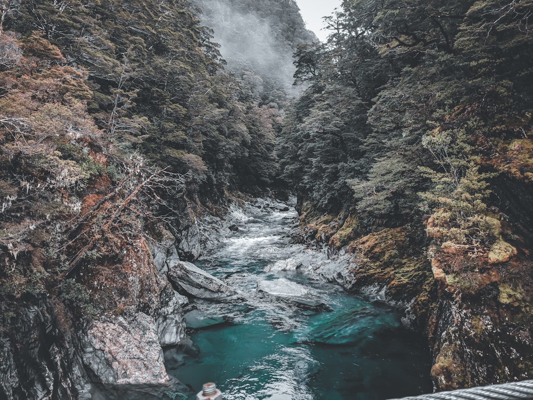 Scopri The Chasm: un angolo nascosto della Nuova Zelanda - Milford Sound | Secret World Trip Planner