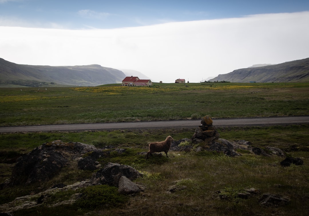 Þorsteinn Erlingssonを発見する：自然と社会批評のアイスランドの詩人 - Reykjavík | Secret World Trip Planner