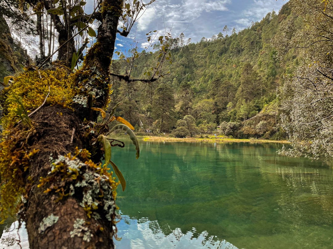Scopri Semuc Champey: un paradiso naturale in Guatemala - Chicanutz | Secret World Trip Planner