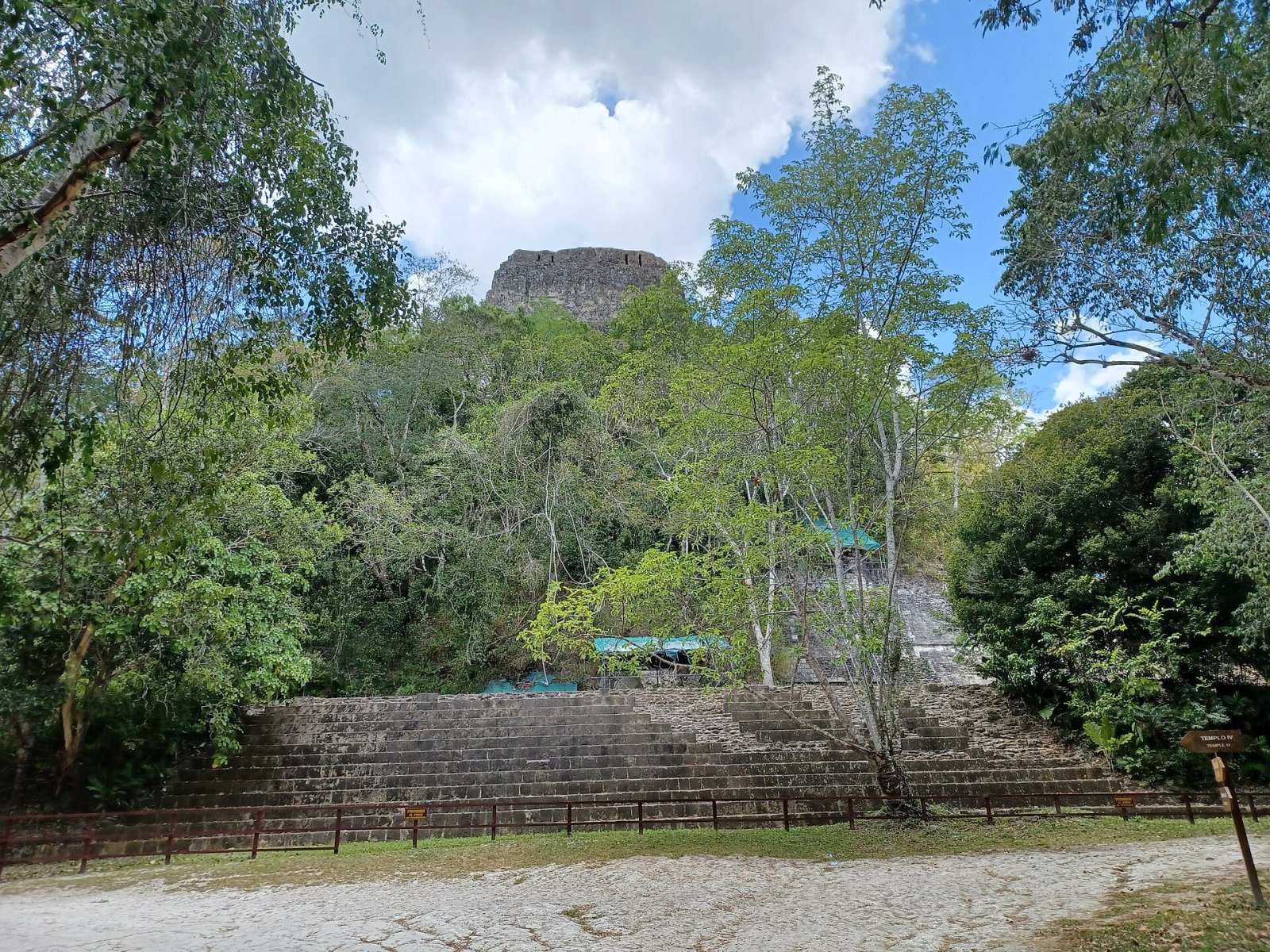 Scopri il Tempio IV: un gioiello di Tikal in Guatemala - Tikal | Secret World Trip Planner