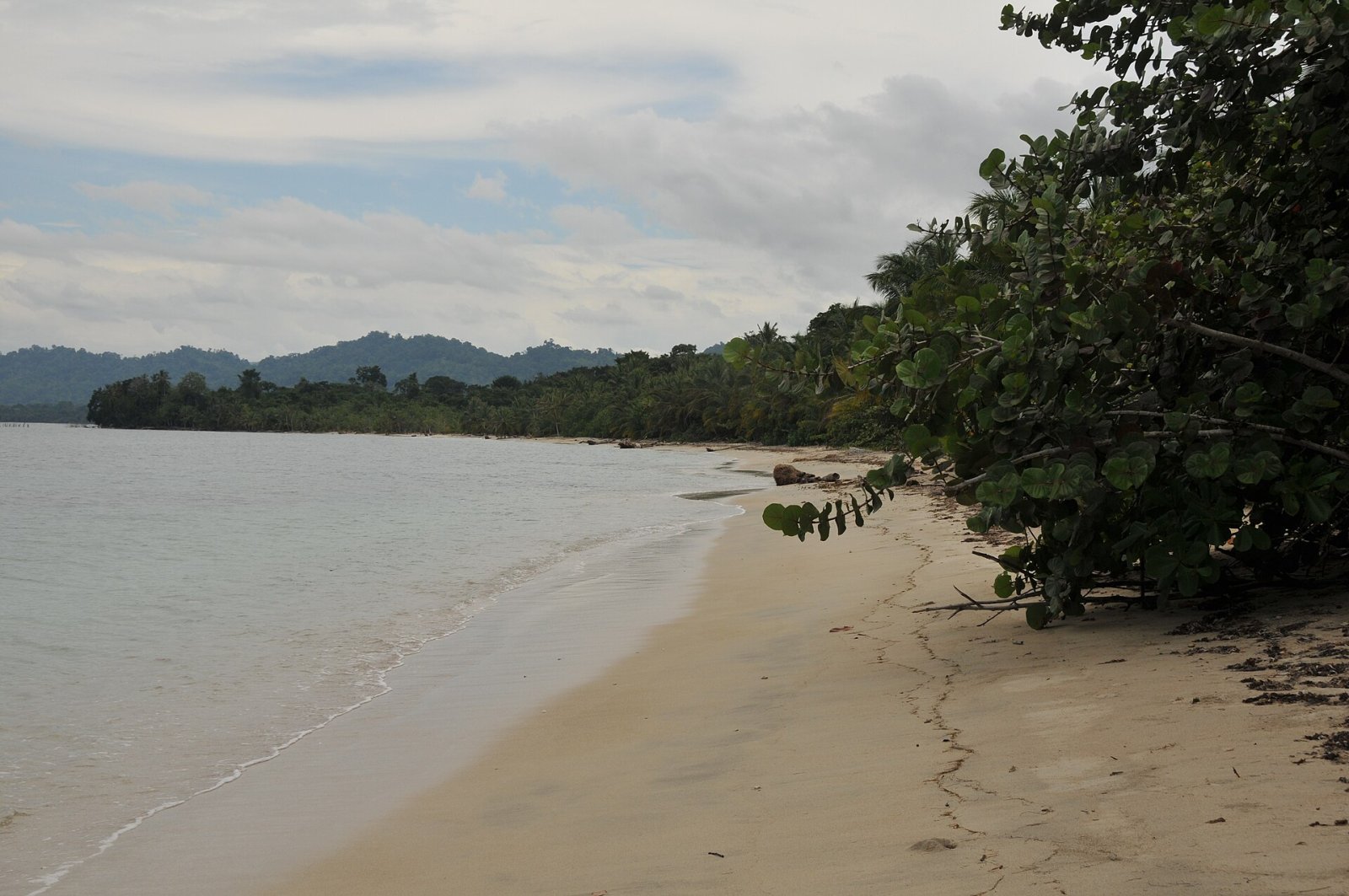 Scopri Punta Uva: Un Paradiso Tropicale in Costa Rica - Punta Uva | Secret World Trip Planner