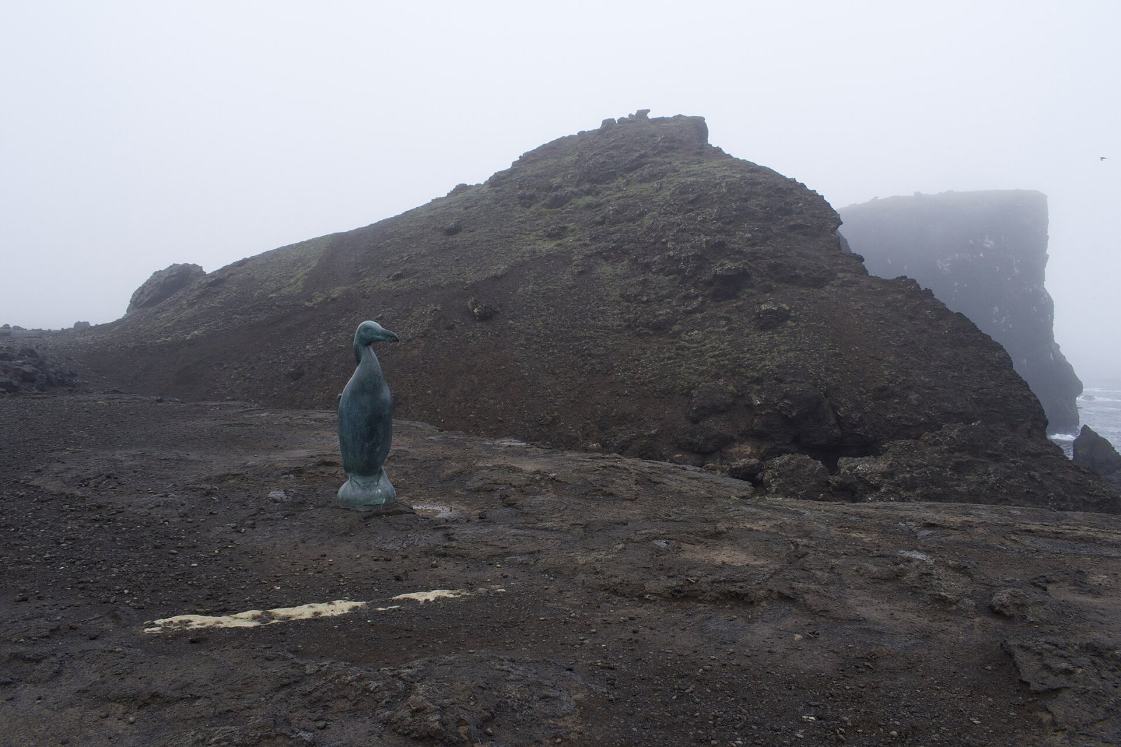 Discover the History of the Great Auk in Iceland - Reykjavík | Secret World Trip Planner