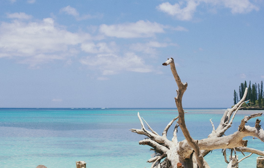 Lifou: l'isola corallina delle acque cristalline - Lifou | Secret World Trip Planner