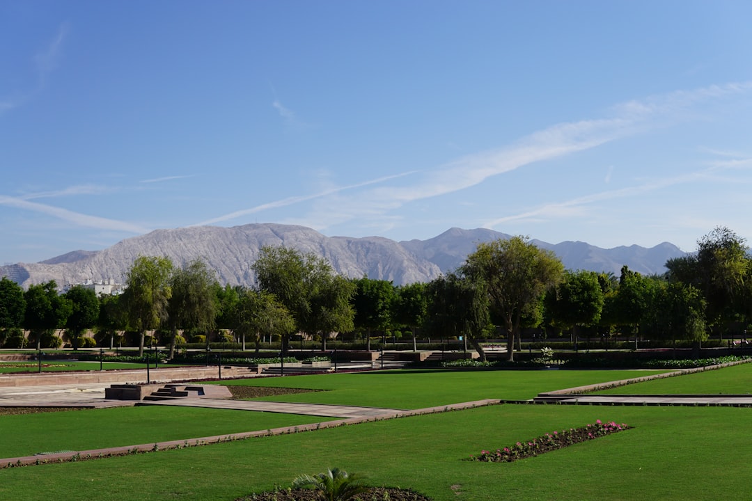 Scopri Green, un angolo di Oman da non perdere - Khasab | Secret World Trip Planner