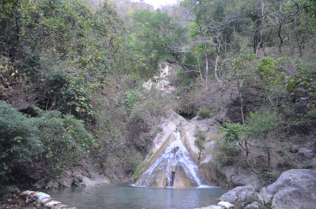 Гуа Темпурунг: дикие пещеры Гопенга - 31600 Gopeng | Secret World Trip Planner