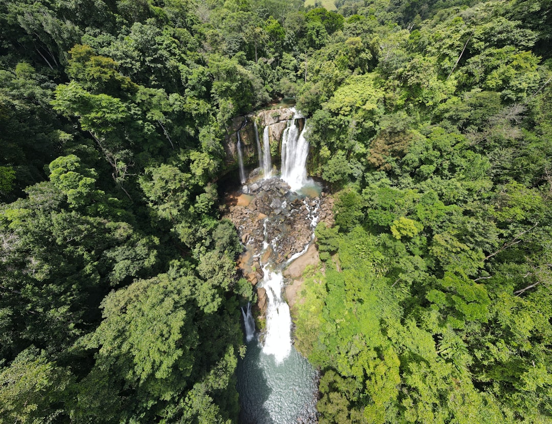 Cascate Nauyaca: Doppelsprung im costa-ricanischen Wald - Pérez Zeledón | Secret World Trip Planner