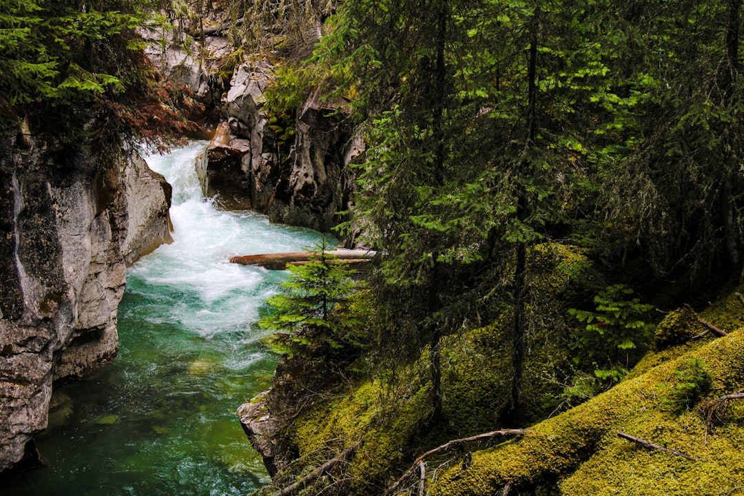 Johnston Canyon: cascate e canyon tra le Rockies canadesi - Improvement District No. 9 | Secret World Trip Planner