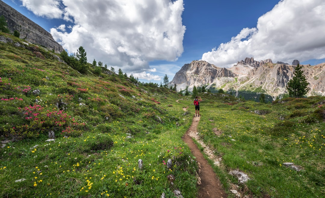 Valley of Flowers a Yumthang: fiori ad alta quota - Yumthang | Secret World Trip Planner