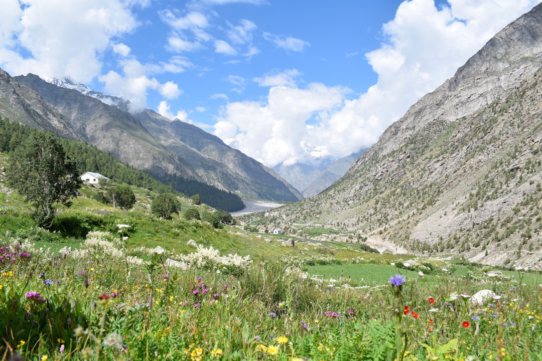 Valley of Flowers in Yumthang: High-Altitude Blooms - Yumthang | Secret World Trip Planner