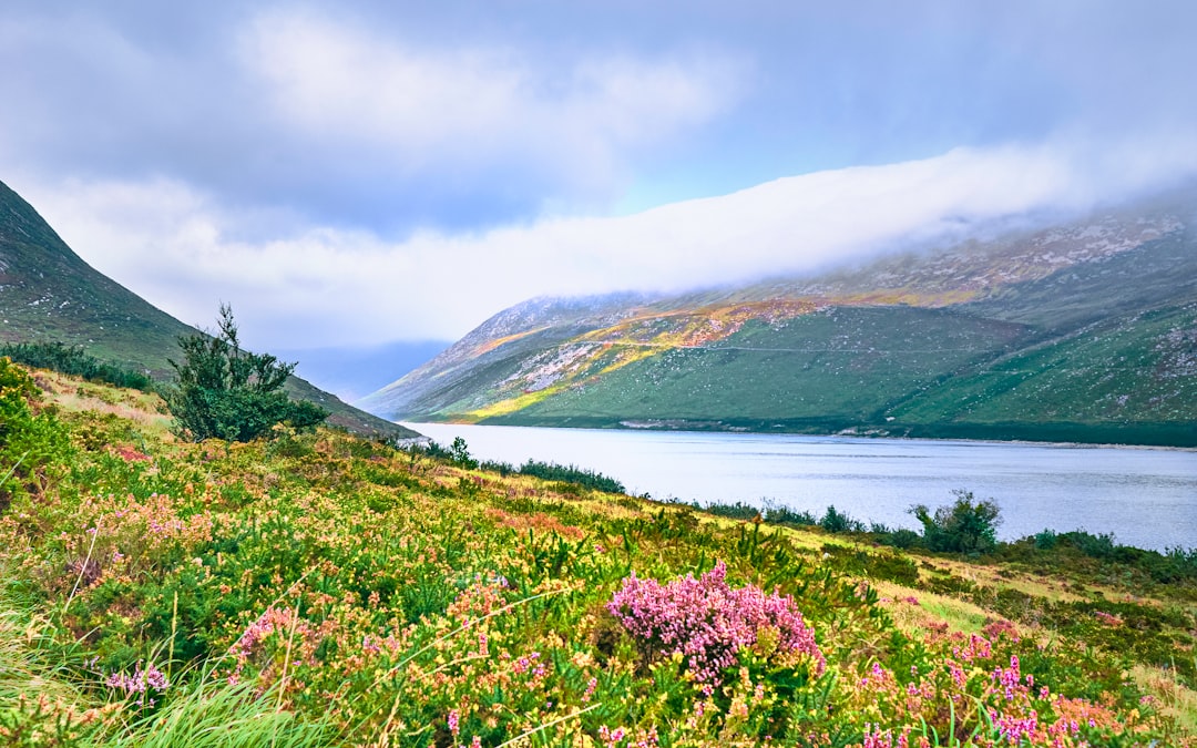 Vallée des Fleurs à Yumthang : fleurs en altitude - Yumthang | Secret World Trip Planner