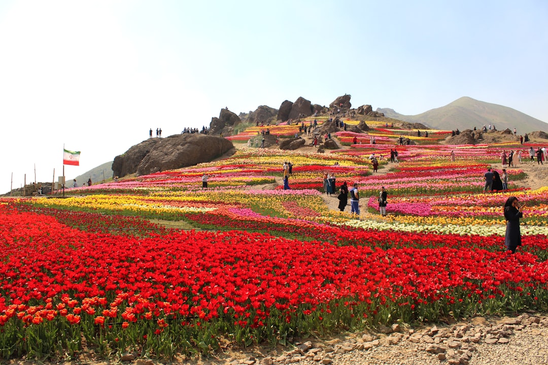 Valle de Flores en Yumthang: flores a gran altura - Yumthang | Secret World Trip Planner