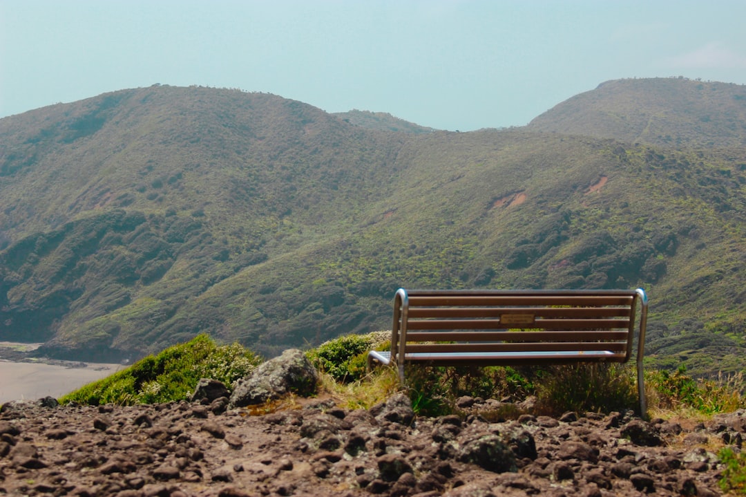 Wooden Seat: A Unique Experience in New Zealand - Christchurch | Secret World Trip Planner