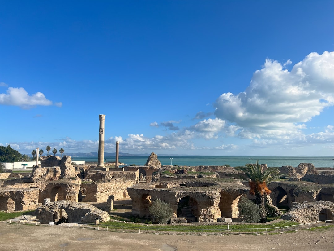 Museo del Bardo: i mosaici romani di Tunisi - RN 7 | Secret World Trip Planner