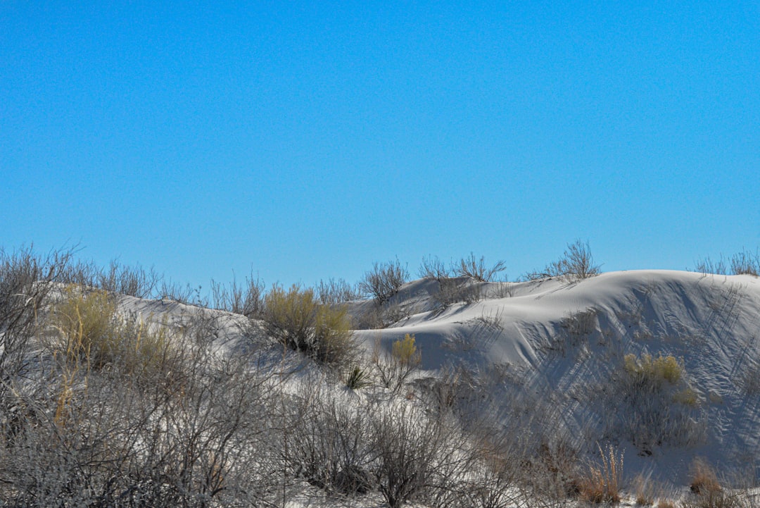 White Desert: Trails Through Farafra's White Rocks - Al Wadi Al Gadid Desert | Secret World Trip Planner