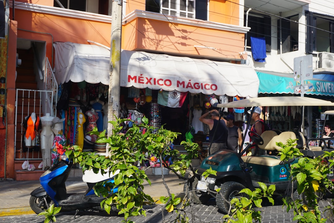 Cuatro Caminos: o mercado histórico de Havana - Ave de México Cristina | Secret World Trip Planner