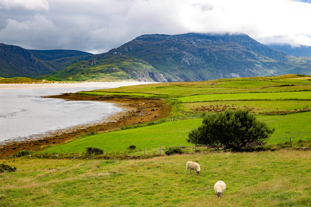 Исследуя Бинкераг: Гора Овец в Ирландии - Killarney Road | Secret World Trip Planner