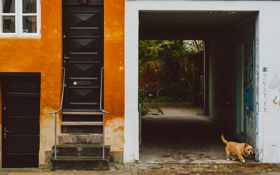 Vacanze Copenaghen low cost 2026: guida pratica e budget - Copenaghen | Secret World Trip Planner