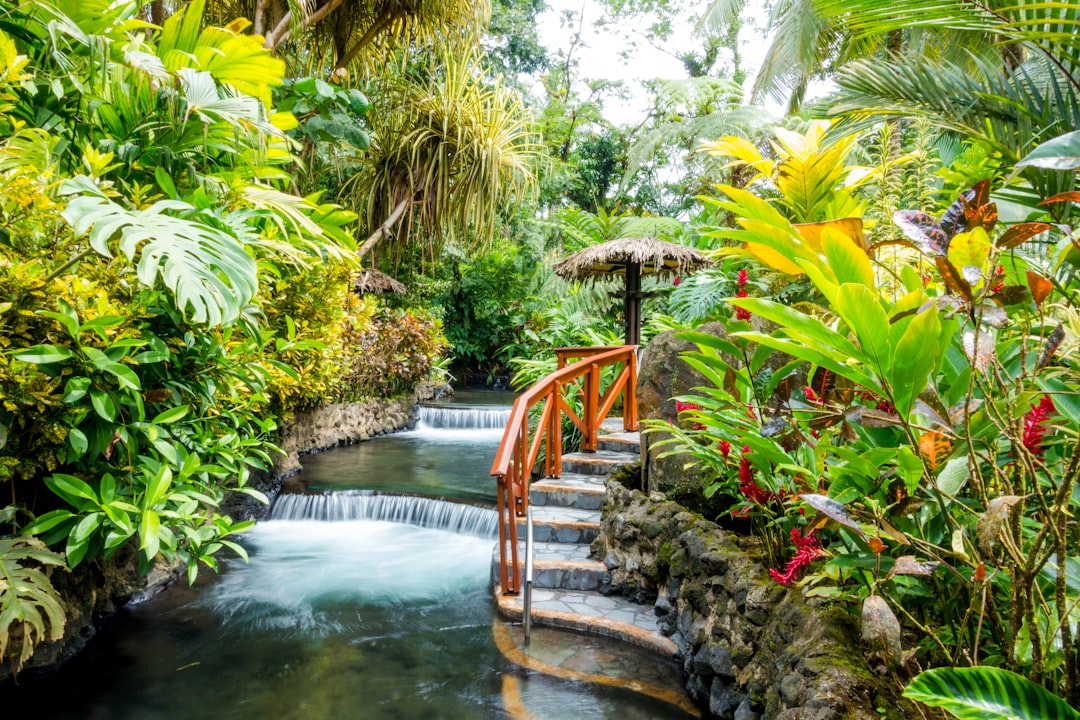 Tabacon Thermalquellen: Vulkanische Bäder in Costa Rica - La Fortuna | Secret World Trip Planner