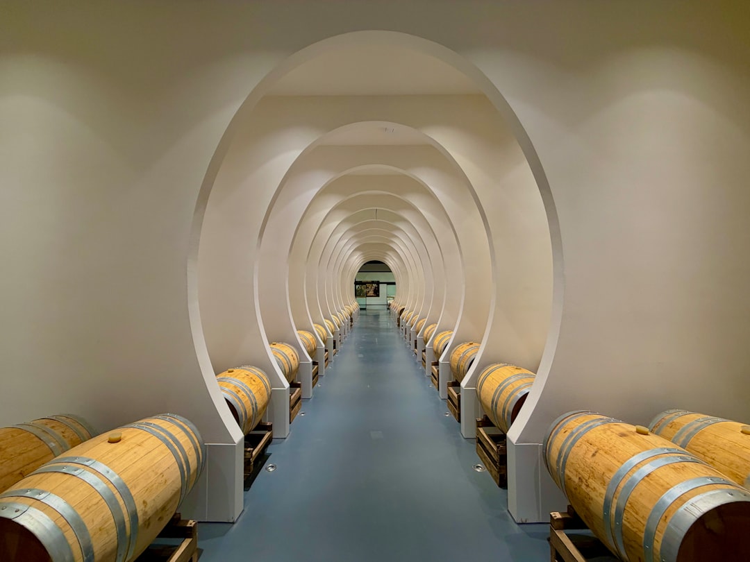 Brotte Wine Museum: Discover Châteauneuf-du-Pape's Terroir - Av. Saint-Pierre de Luxembourg | Secret World Trip Planner