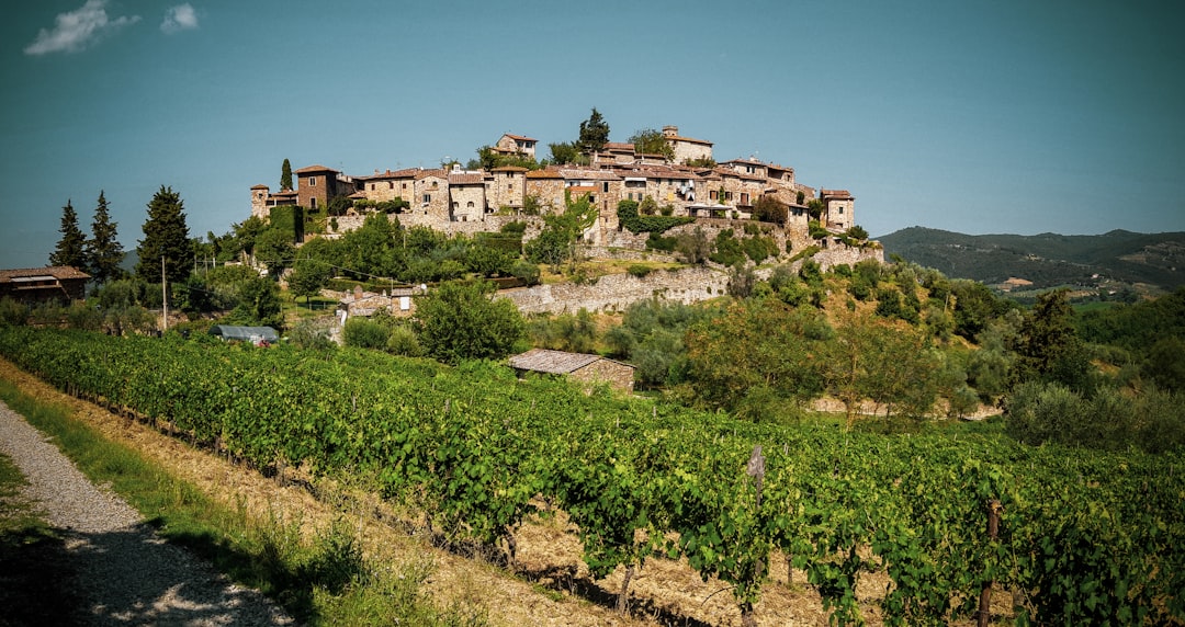 Chianti Classico à Greve : vins et terroir toscan - 18 | Secret World Trip Planner