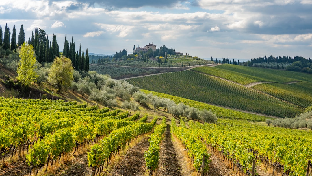 Chianti Classico à Greve : vins et terroir toscan - 18 | Secret World Trip Planner