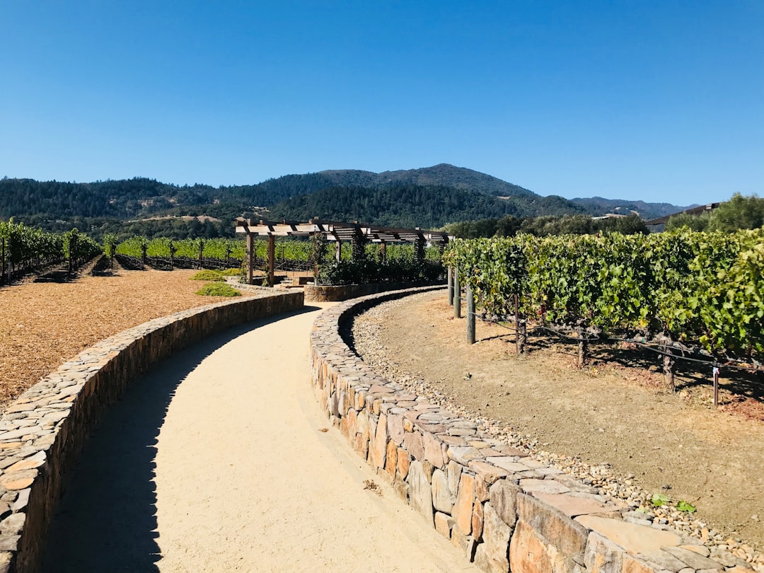 Napa Valley Wine Train: vino e paesaggi su rotaia - Napa | Secret World Trip Planner