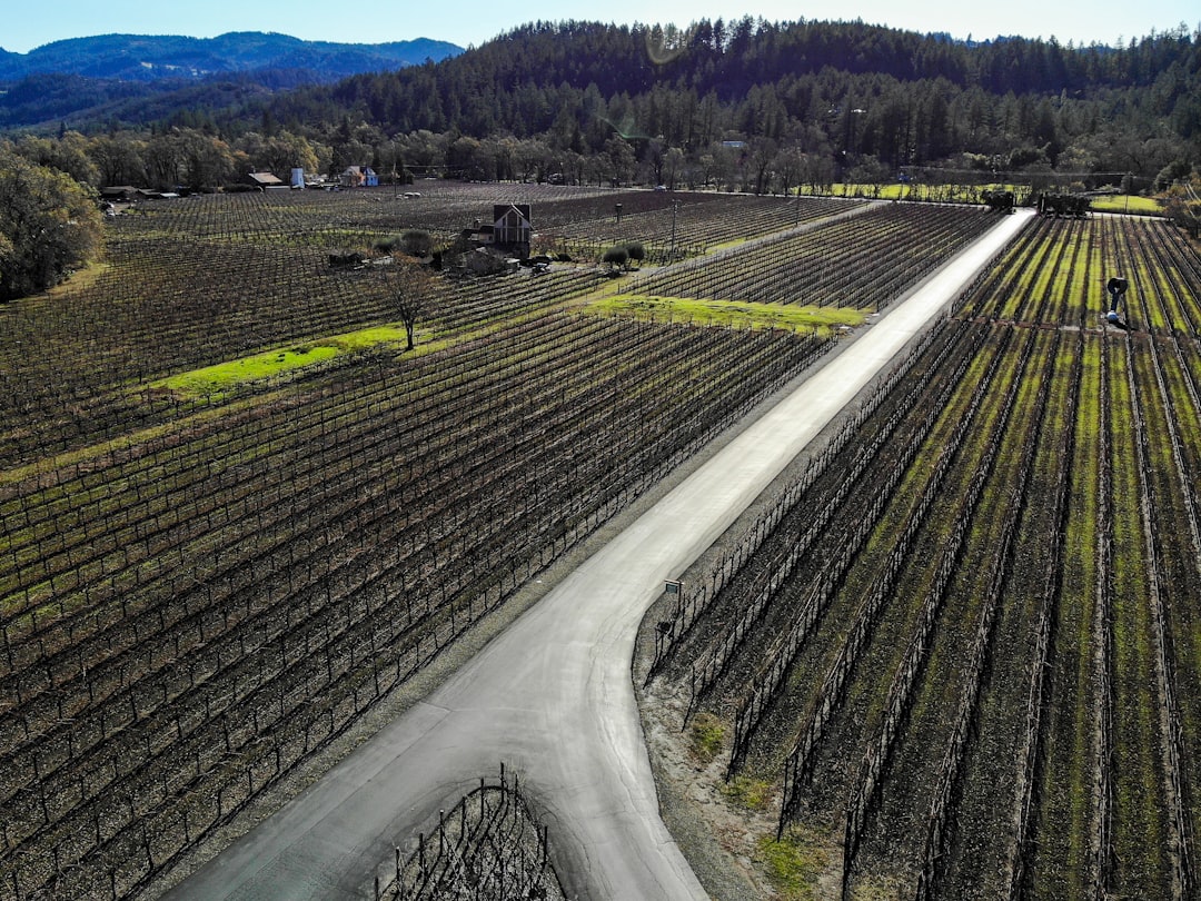 Train de Vin de Napa Valley : paysages et vins en voyage - Napa | Secret World Trip Planner