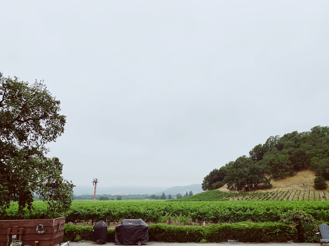 Trem do Vinho no Vale de Napa: paisagens e sabores - Napa | Secret World Trip Planner