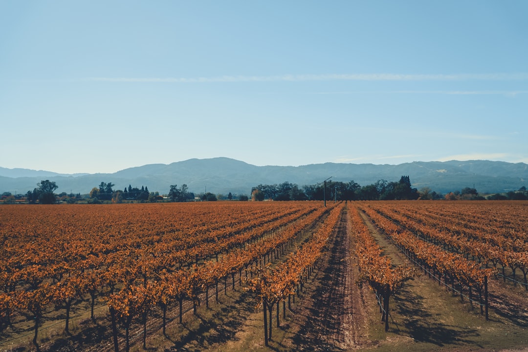 Винный поезд Напа: вино и пейзажи на рельсах - Napa | Secret World Trip Planner