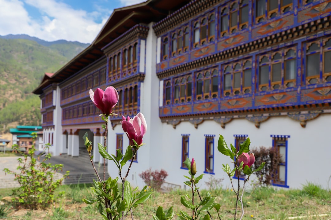 High Altitude Wines in Shangri-La: Vineyards & Himalayas - Diqing Tibetan Autonomous Prefecture | Secret World Trip Planner