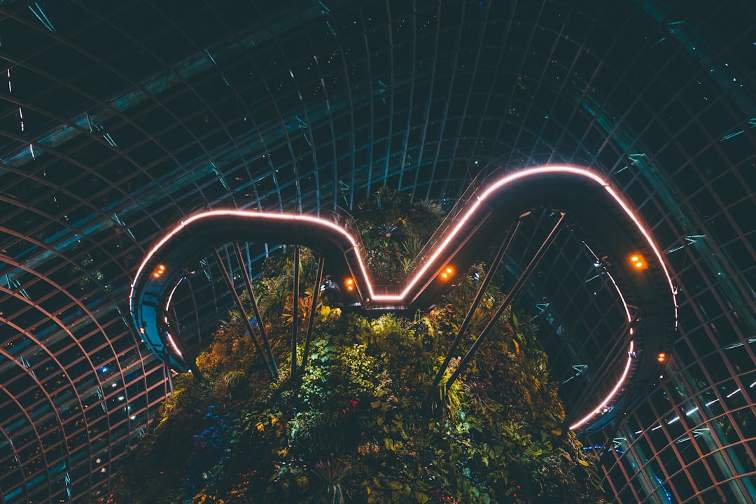 Cloud Forest Singapore: arte e natura a 35 metri d'altezza - 18 Marina Gardens Dr | Secret World Trip Planner