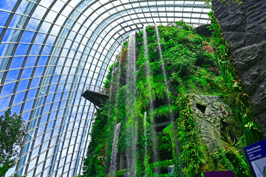 Cloud Forest Singapore: arte e natura a 35 metri d'altezza - 18 Marina Gardens Dr | Secret World Trip Planner