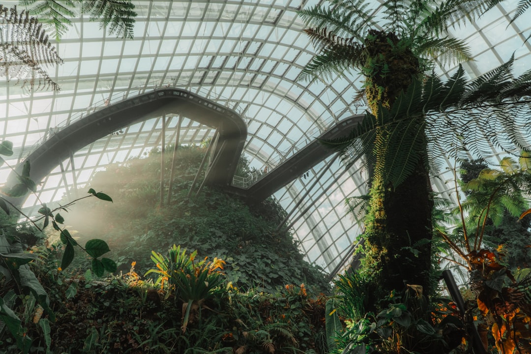 Cloud Forest Singapore: Art and Nature 115 Feet Up - 18 Marina Gardens Dr | Secret World Trip Planner