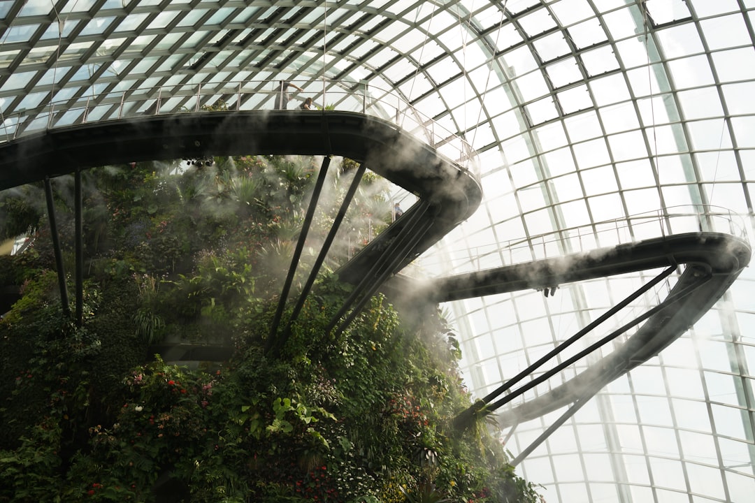 Cloud Forest Singapore: Art and Nature 115 Feet Up - 18 Marina Gardens Dr | Secret World Trip Planner