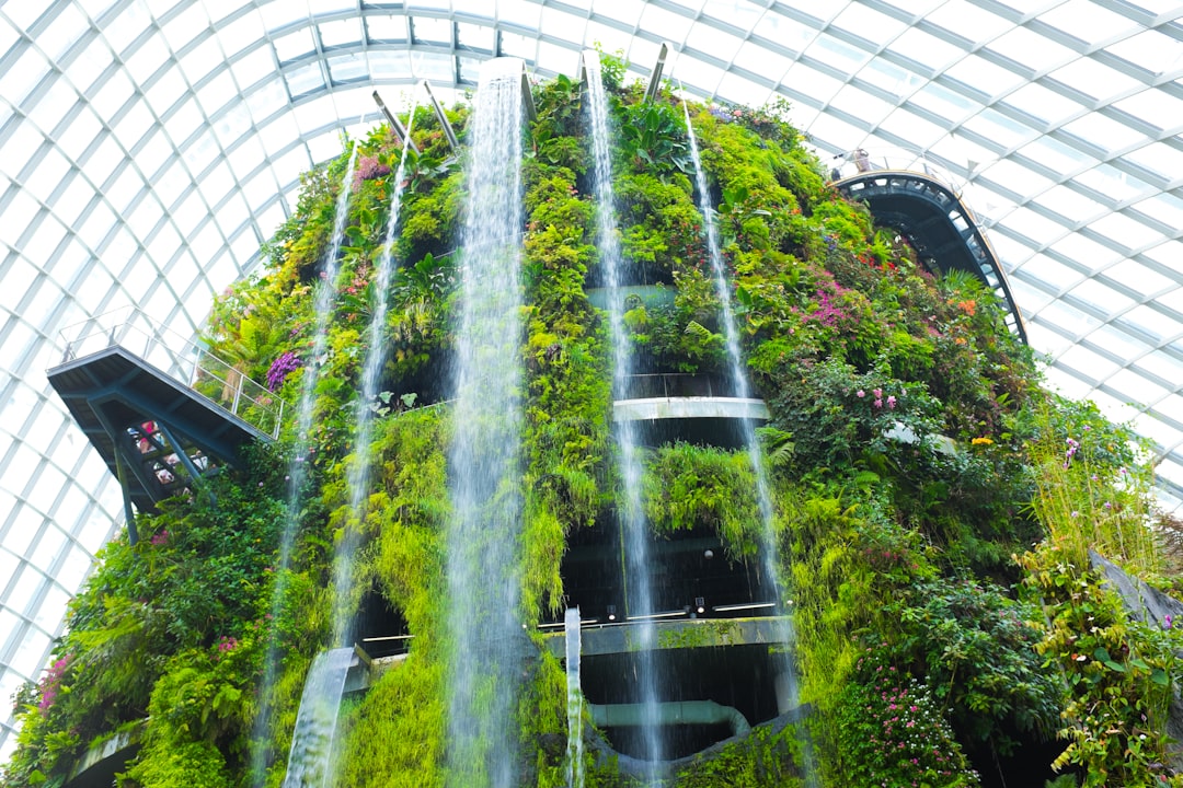 Cloud Forest Singapore: Art and Nature 115 Feet Up - 18 Marina Gardens Dr | Secret World Trip Planner