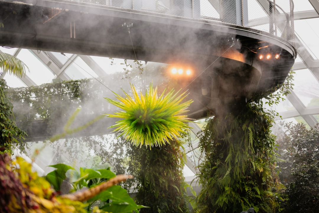 Bosque Nublado Singapur: arte y naturaleza a 35 metros - 18 Marina Gardens Dr | Secret World Trip Planner