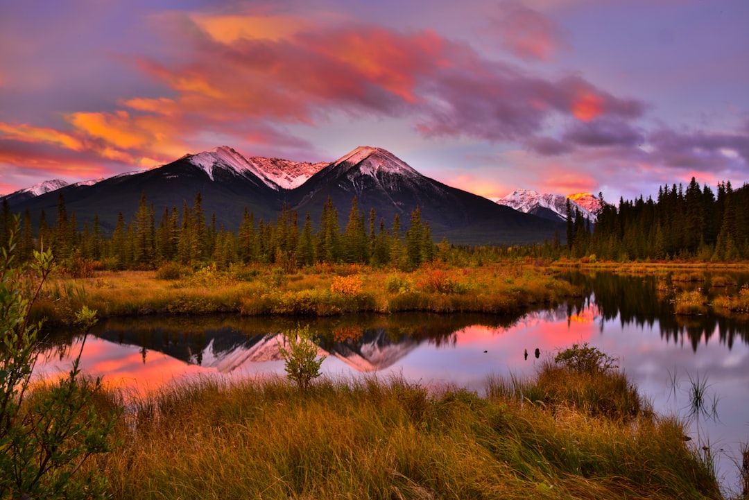 Vermilion Lakes: Wasserflächen am Fuß der Rockies - Banff | Secret World Trip Planner